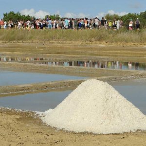 Visite guidée au Port des Salines